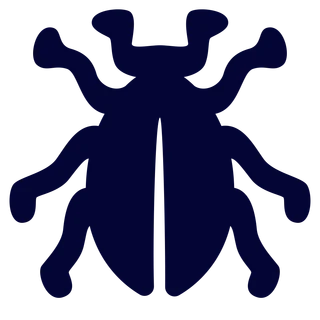 Beetle